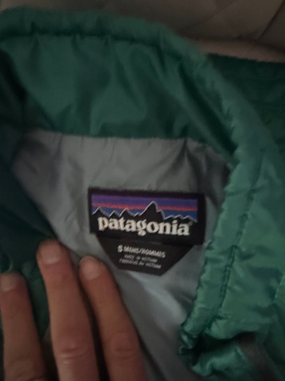 Patagonia teal vest